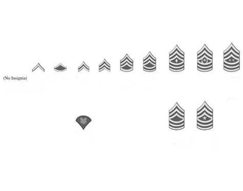 U.S. Army Enlisted Ranks Quiz .